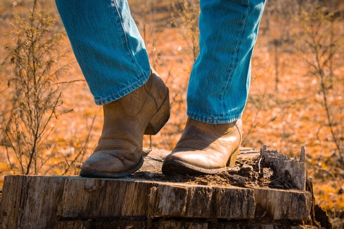 Ariat, the western themed brand, to open new store this spring in Larimer Square, Denver