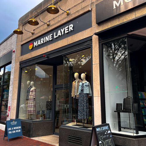 Harvard Square image